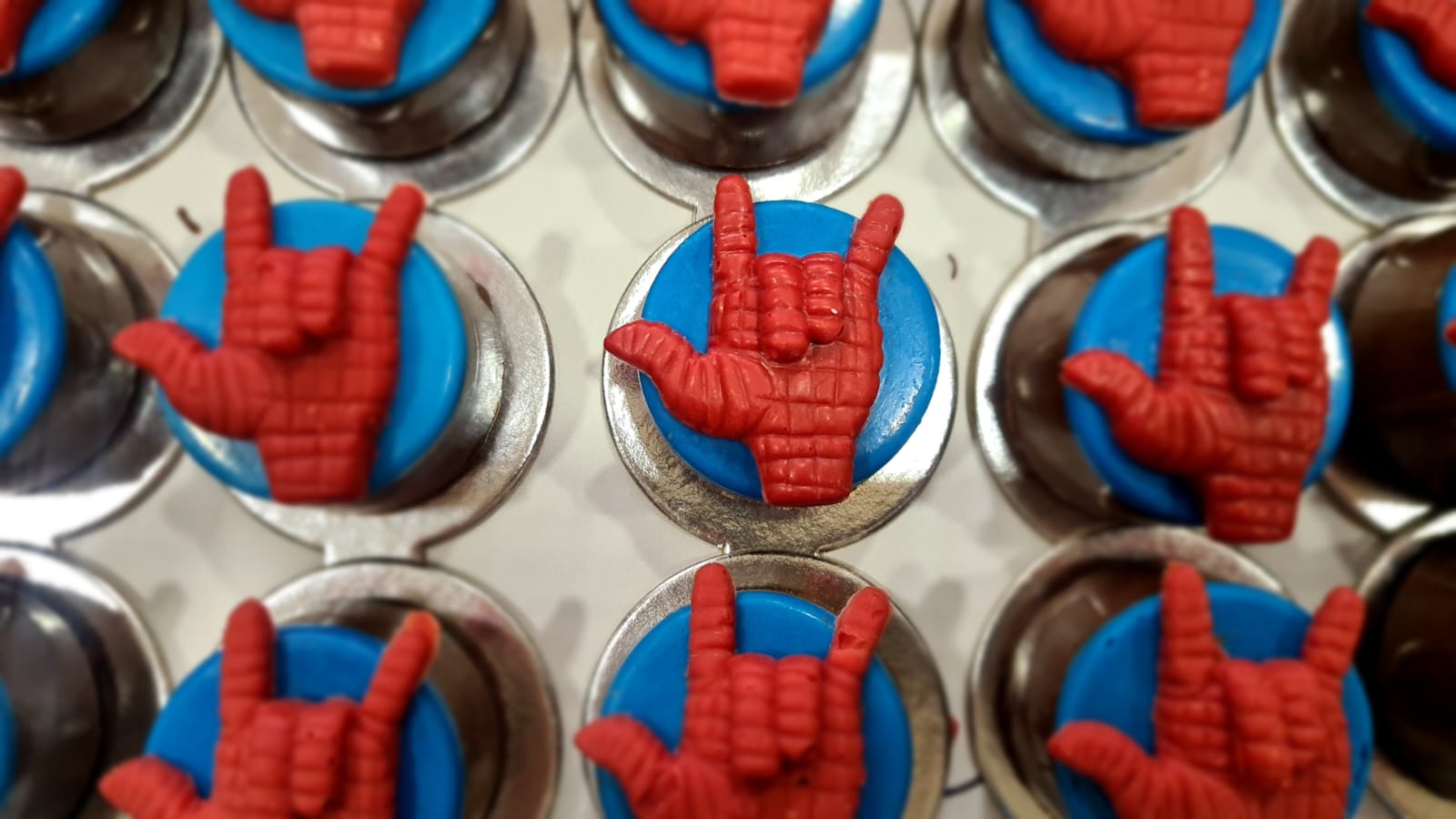 doce-teia-spider