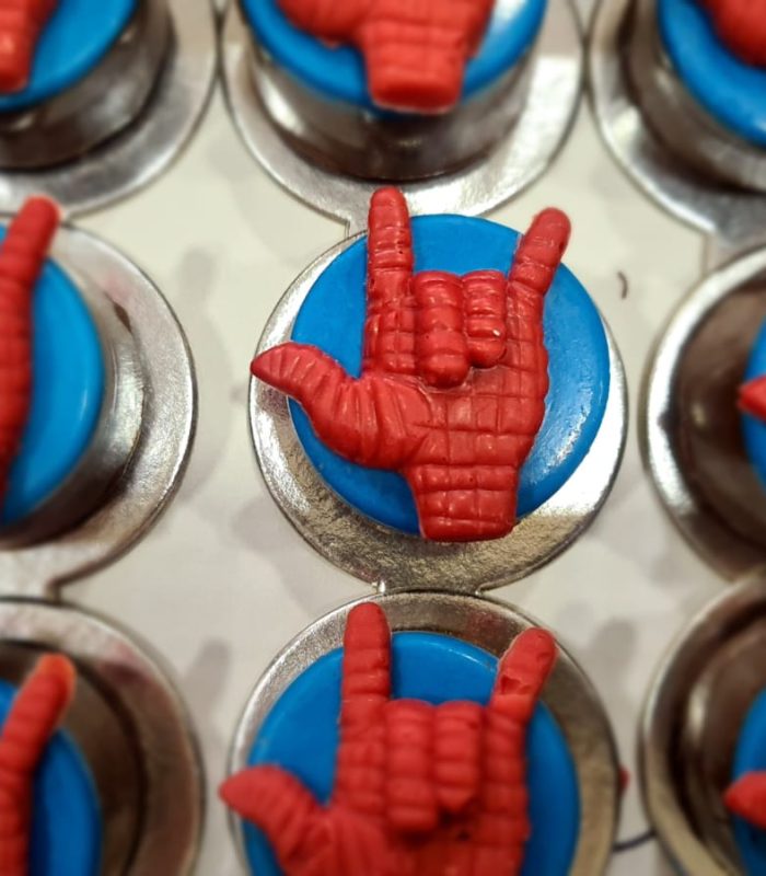 doce-teia-spider